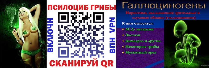 Купить закладки  Кочубеевское  Псилоцибиновые грибы мицелий 