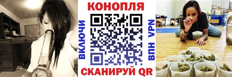 Шишки марихуана VHQ  Купить закладки  Кочубеевское 